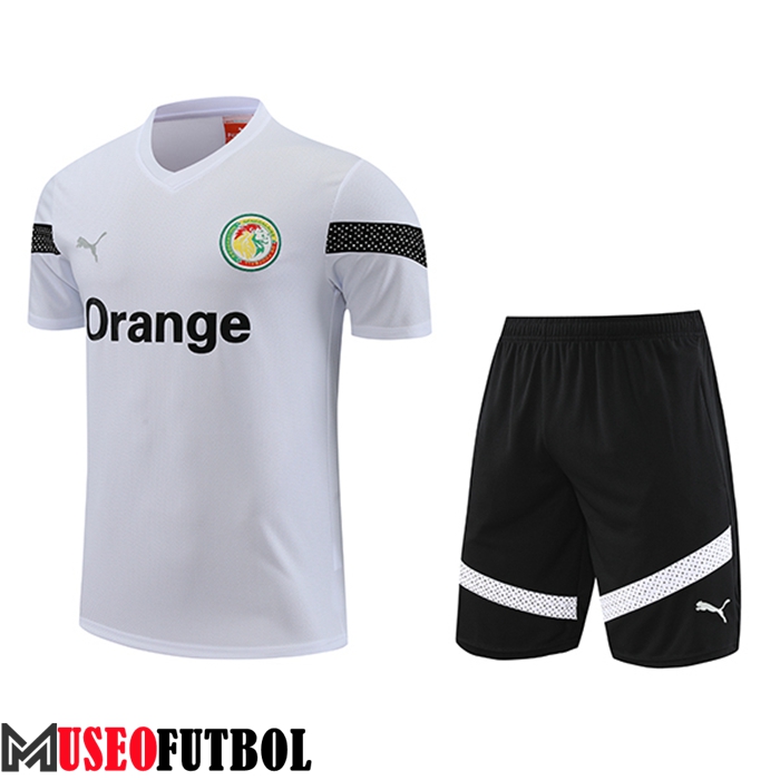 Camiseta Entrenamiento + Cortos Senegal Blanco 2023/2024