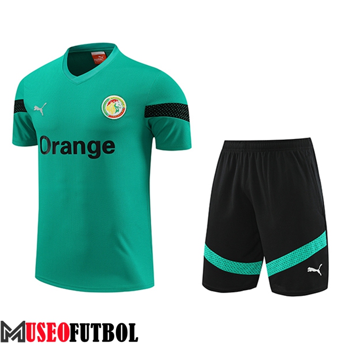 Camiseta Entrenamiento + Cortos Senegal Verde 2023/2024