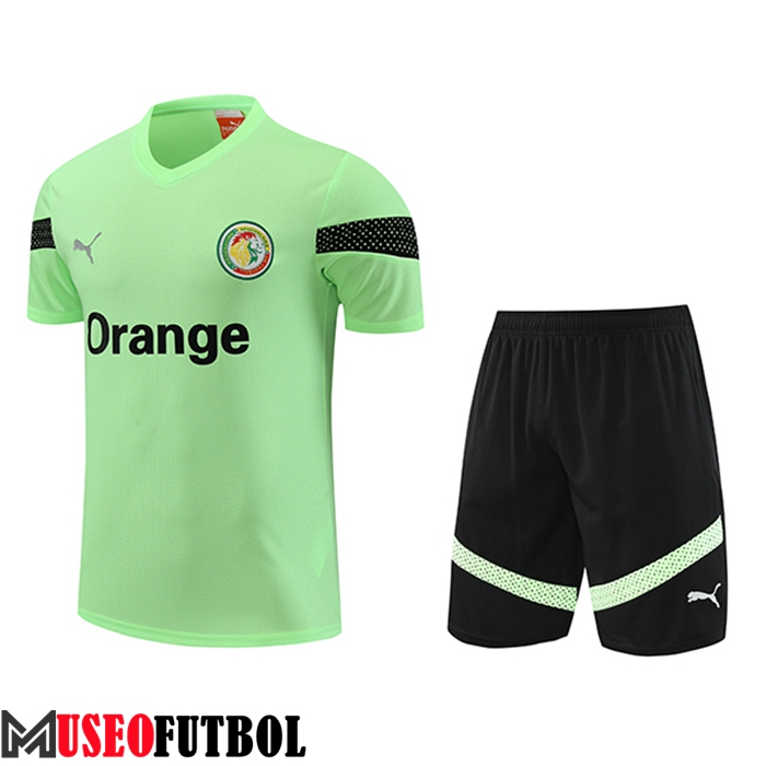 Camiseta Entrenamiento + Cortos Senegal Verde 2023/2024