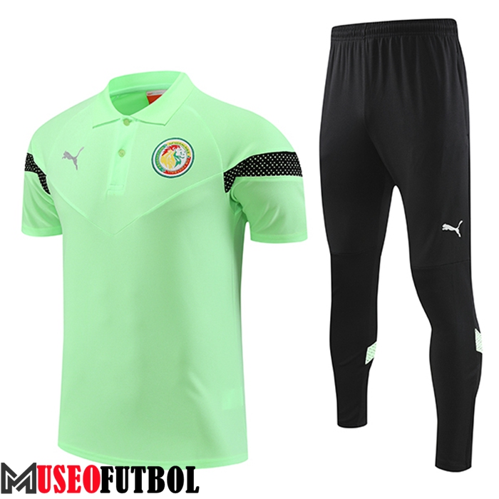 Camiseta Polo Senegal Verde 2022/2023