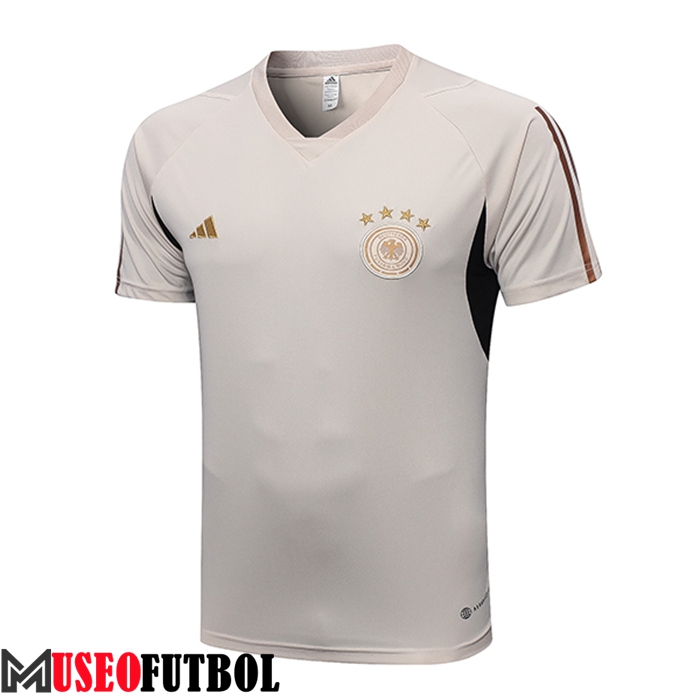 Camiseta Entrenamiento Alemania Gris Claro 2023/2023