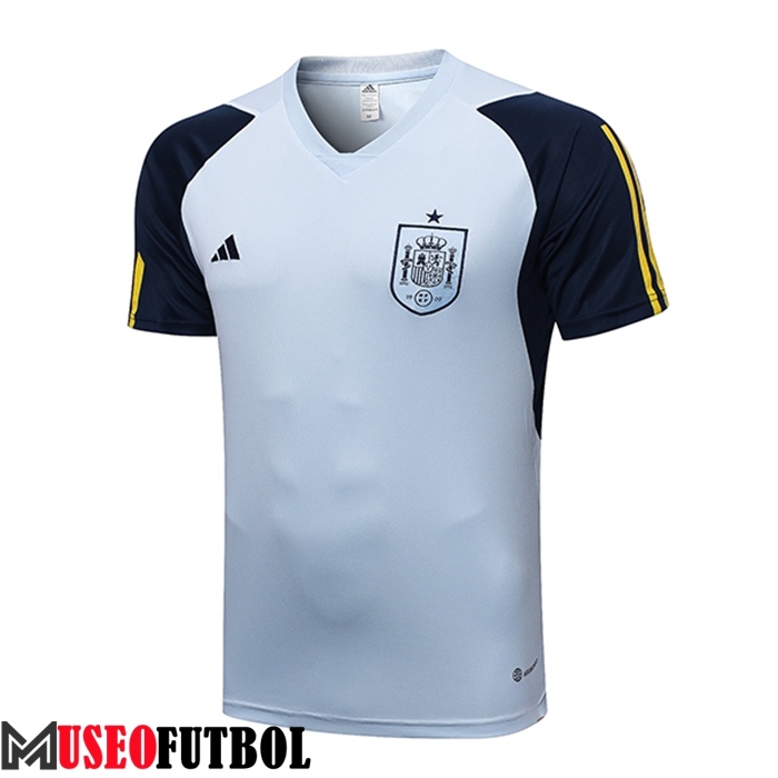 Camiseta Entrenamiento España Azul Claro 2023/2023