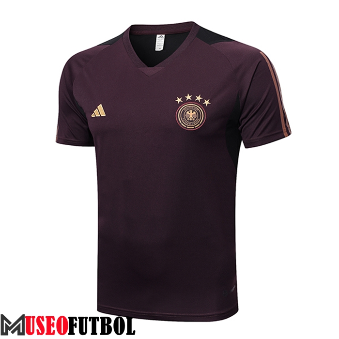 Camiseta Entrenamiento Alemania Marrón 2023/2023