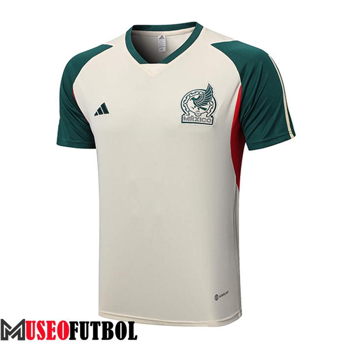 Camiseta Entrenamiento México Beige 2023/2023