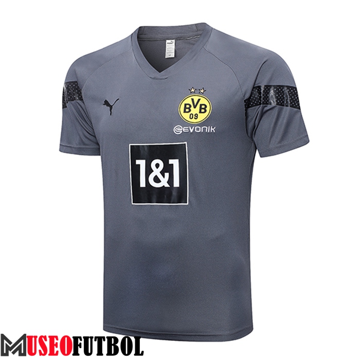 Camiseta Entrenamiento Dortmund Gris 2023/2023