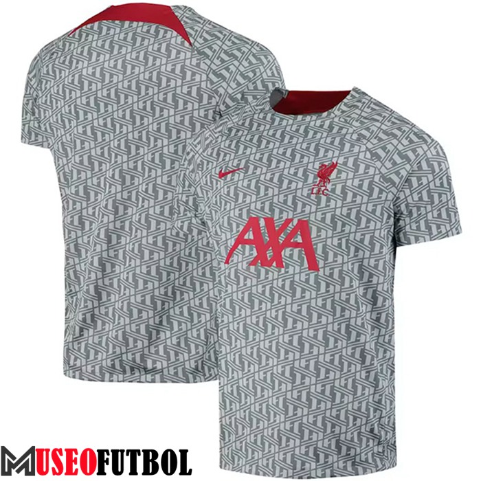 Camiseta Entrenamiento FC Liverpool Gris 2023/2023