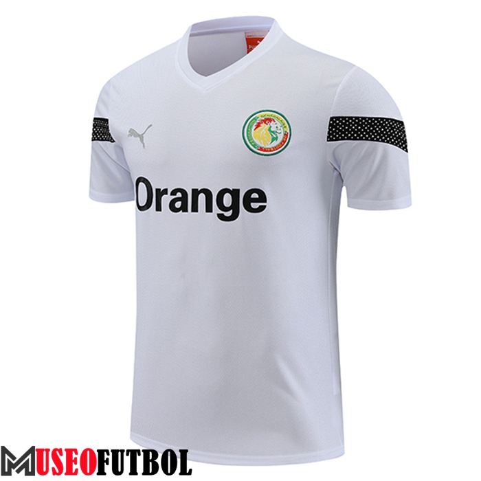 Training T-Shirts Senegal Blanco 2023/2024