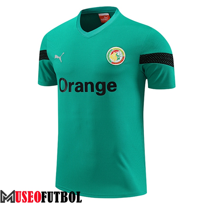 Training T-Shirts Senegal Verde 2023/2024