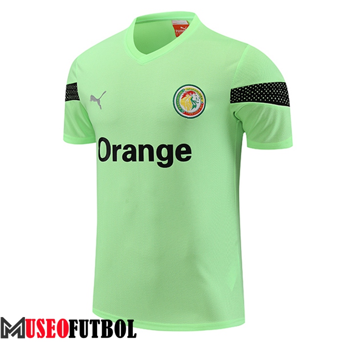 Training T-Shirts Senegal Verde 2023/2024