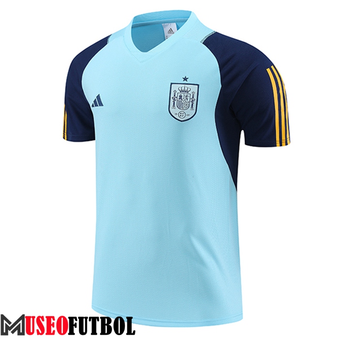 Training T-Shirts España Azul Claro 2023/2024