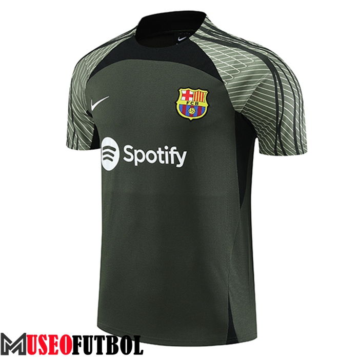 Training T-Shirts FC Barcelona Verde 2023/2024