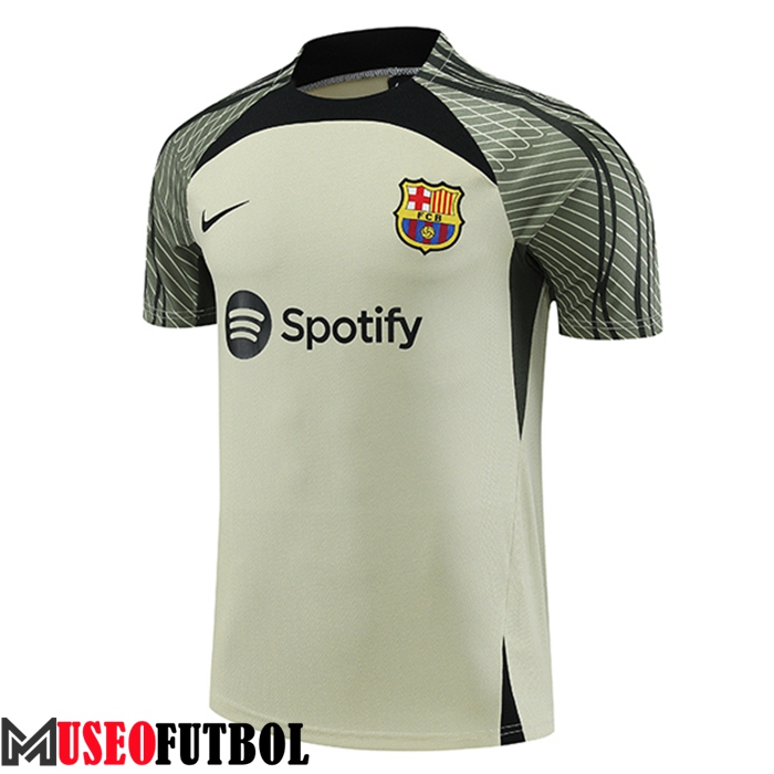 Training T-Shirts FC Barcelona Verde 2023/2024