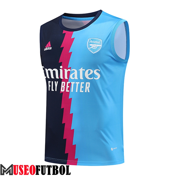 Chalecos De Futbol Arsenal Azul 2023/2024