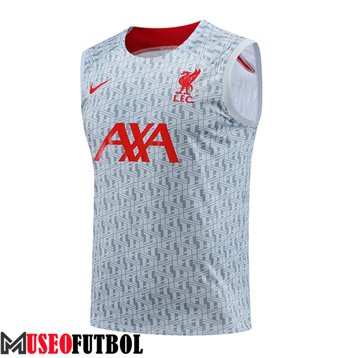 Chalecos De Futbol FC Liverpool Gris 2023/2024