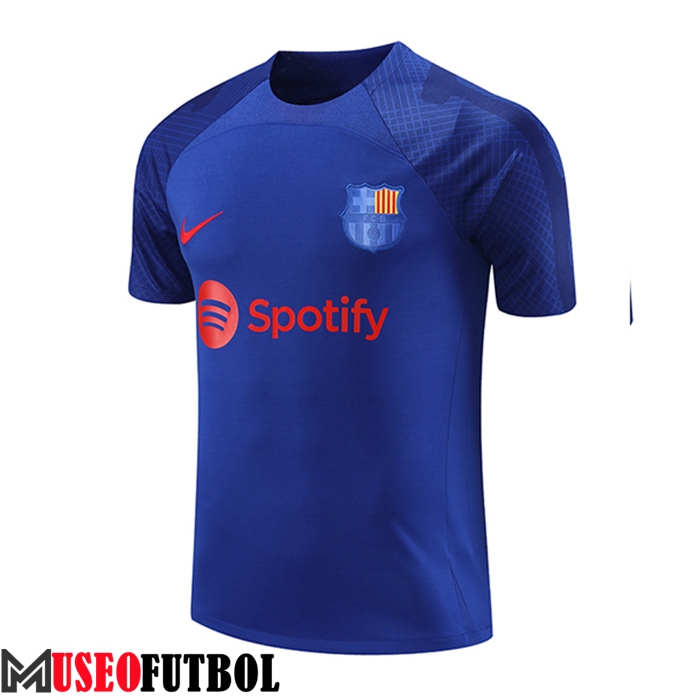 Camiseta Entrenamiento PSG Jordan Rojo 2023/2024