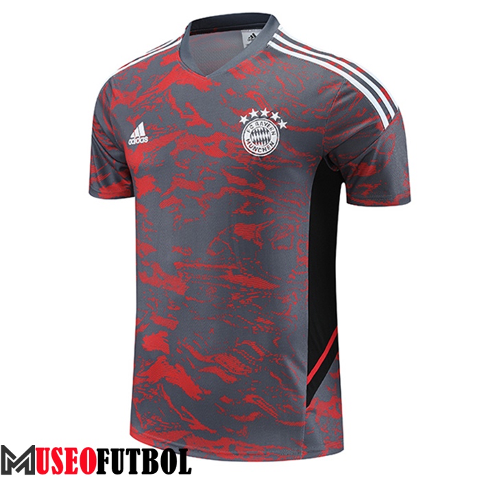 Camiseta Entrenamiento Bayern Munich Rojo/Gris 2023/2024