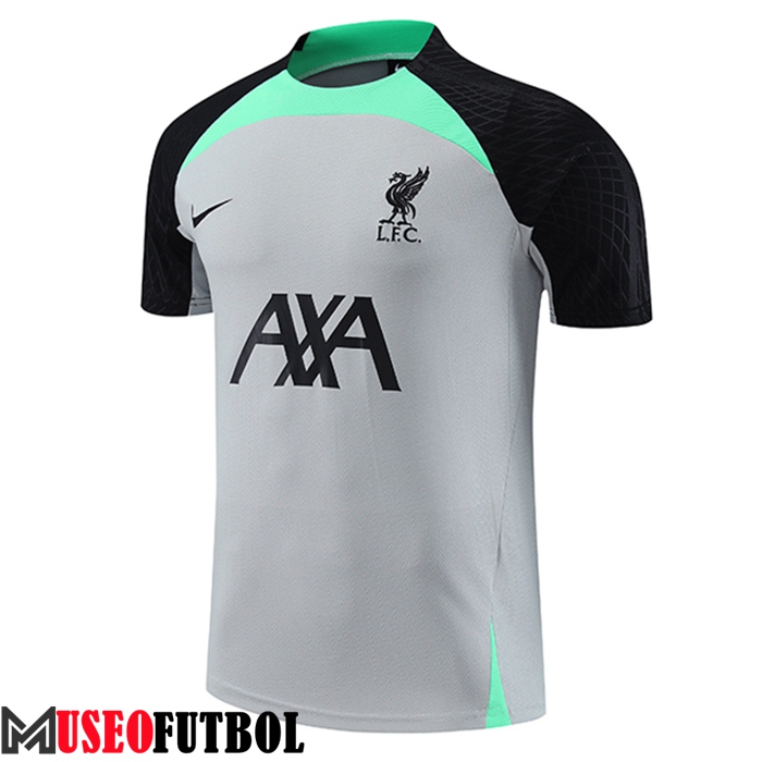 Camiseta Entrenamiento FC Liverpool Gris 2023/2024