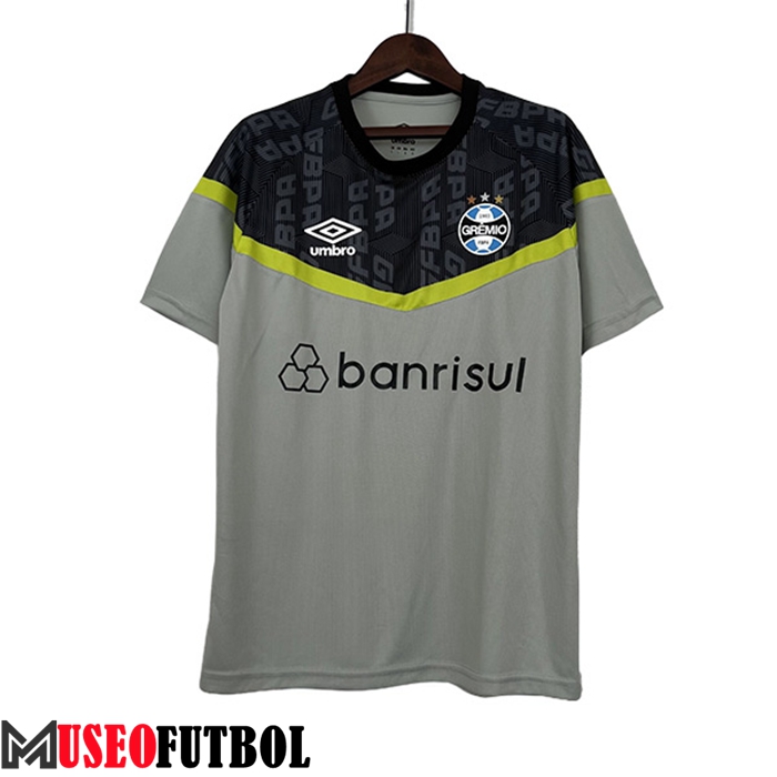 Camiseta Entrenamiento Gremio Gris 2023/2024