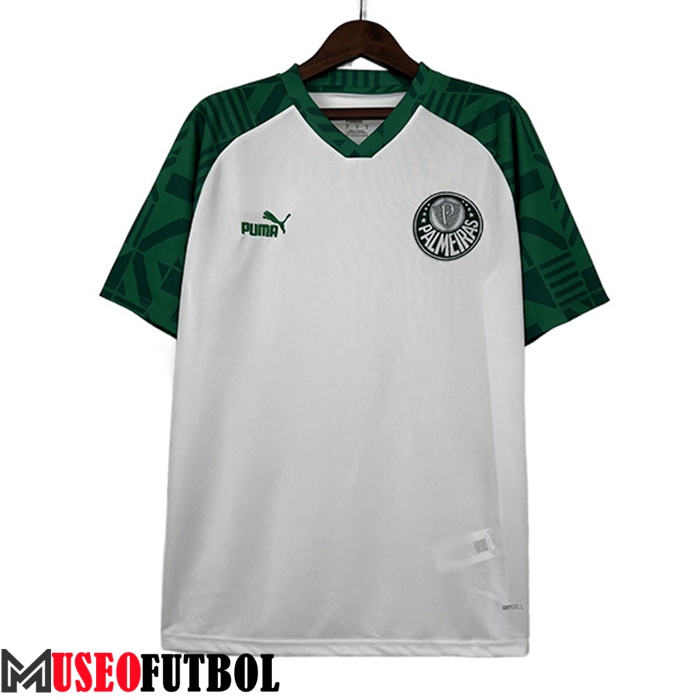 Camisetas De Futbol Palmeiras Special Edition Blanco 2023/2024