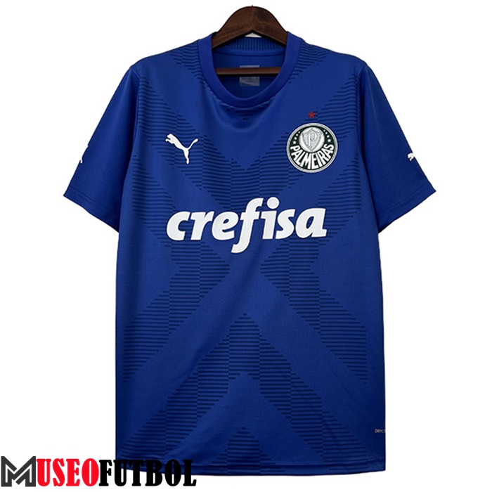 Camisetas De Futbol Palmeiras Portero Azul 2023/2024