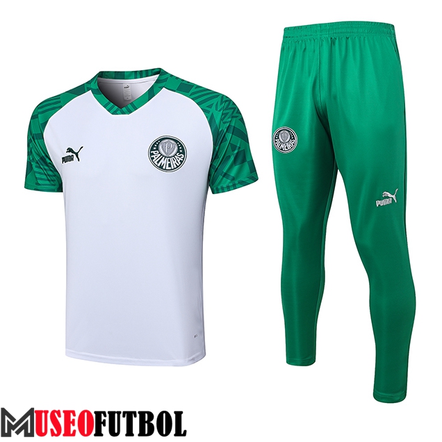 Camiseta Polo Palmeiras Blanco 2023/2024