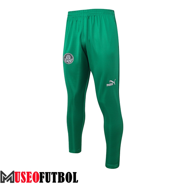 Pantalon Entrenamiento Palmeiras Verde 2023/2024