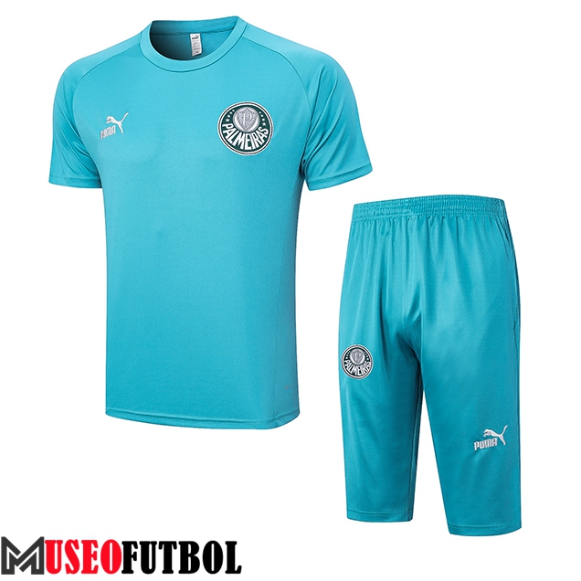 Camiseta Entrenamiento + Cortos Palmeiras Verde 2023/2024