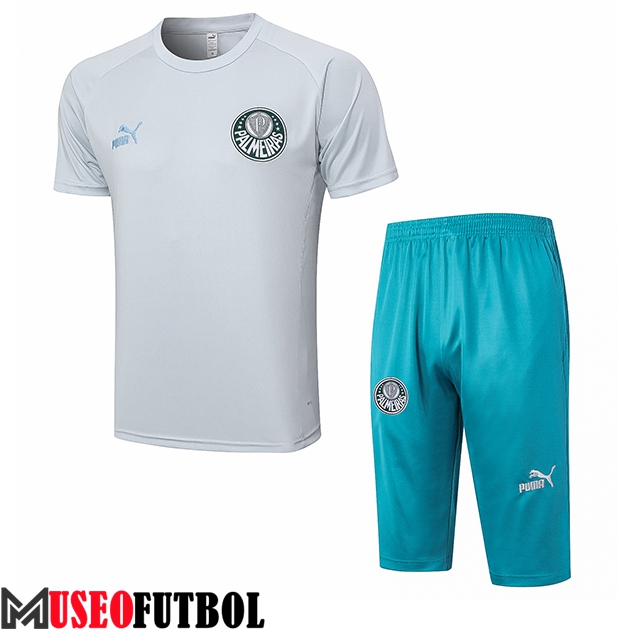 Camiseta Entrenamiento + Cortos Palmeiras Gris Claro 2023/2024