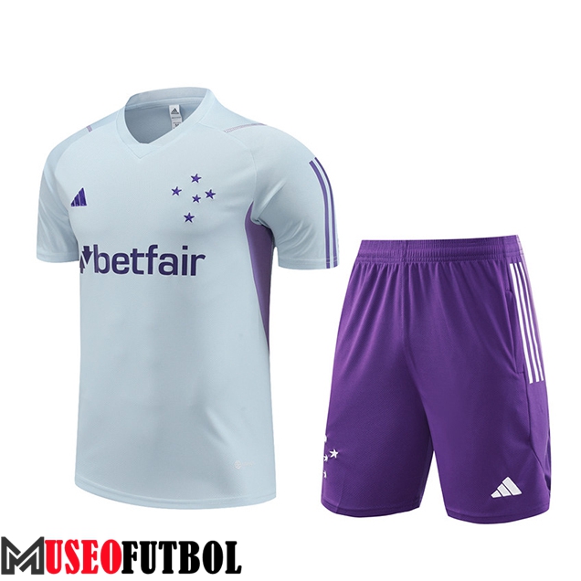 Camiseta Entrenamiento + Cortos Cruzeiro Gris Claro 2023/2024