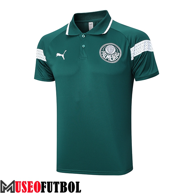 Camiseta Polo Palmeiras Verde 2023/2024