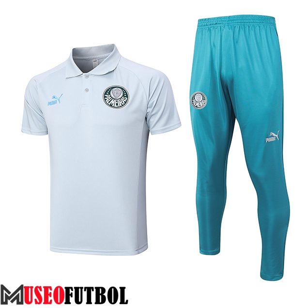 Camiseta Polo Palmeiras Gris 2023/2024