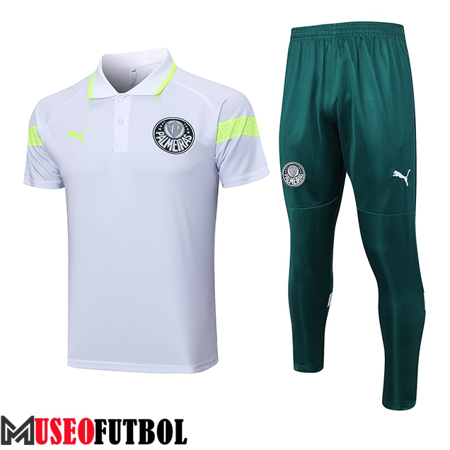 Camiseta Polo Palmeiras Gris 2023/2024 -02