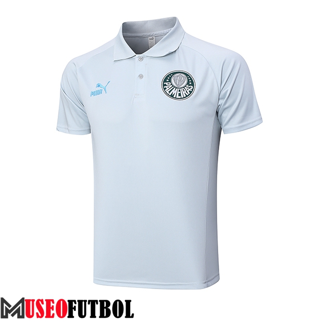 Camiseta Polo Palmeiras Gris 2023/2024