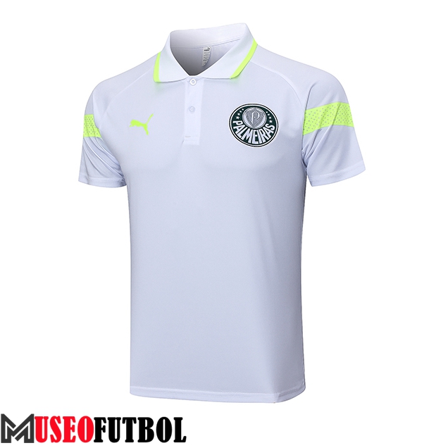 Camiseta Polo Palmeiras Gris 2023/2024 -02