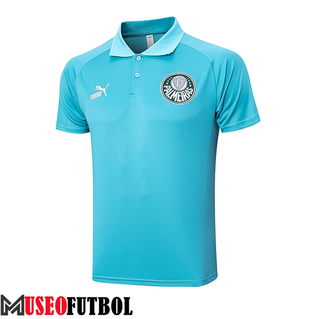 Camiseta Polo Palmeiras Verde 2023/2024 -03