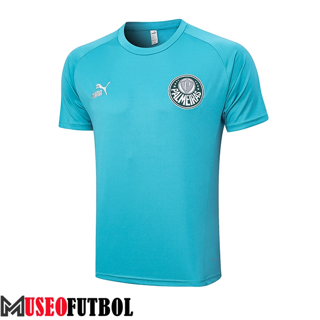 Camiseta Entrenamiento Palmeiras Verde 2023/2024