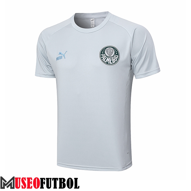 Camiseta Entrenamiento Palmeiras Gris Claro 2023/2024