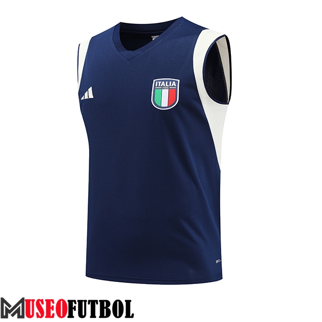 Chalecos De Futbol Italia Azul marino 2023/2024