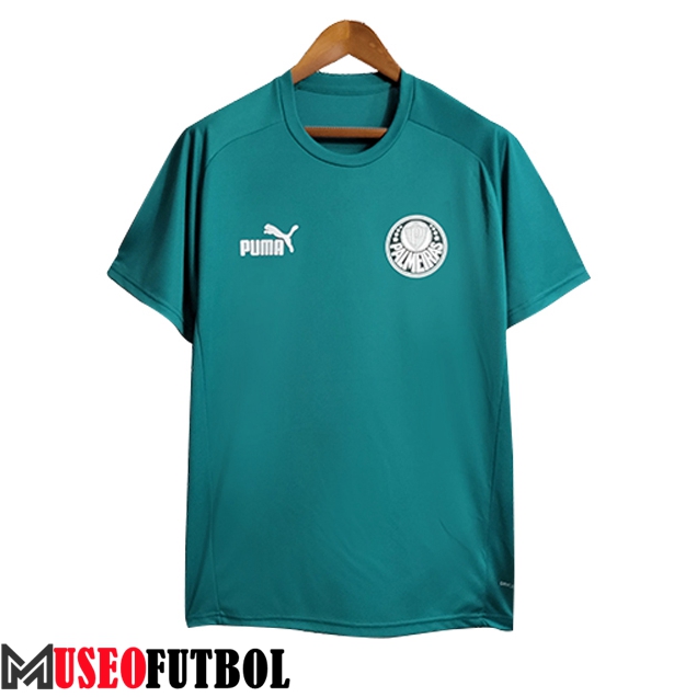 Camiseta Entrenamiento Palmeiras Verde 2023/2024 -02