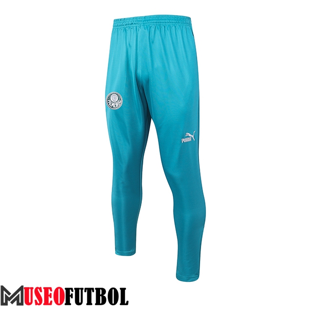 Pantalon Entrenamiento Palmeiras Verde 2023/2024 -03