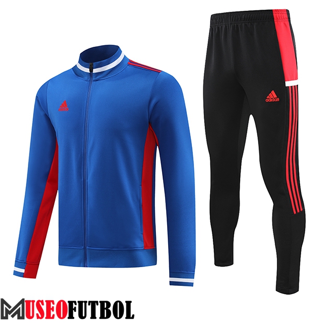 Chandal Equipos De Futbol - Chaqueta Adidas Azul 2023/2024