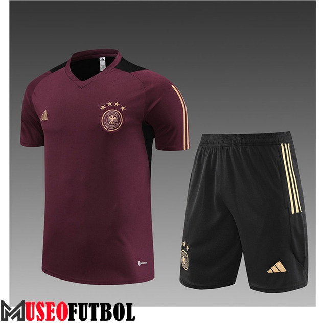 Camiseta Entrenamiento + Cortos Alemania Ninos Marrón 2023/2024