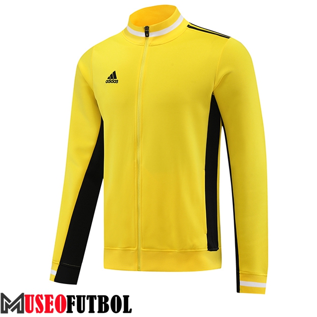 Chaquetas Futbol Adidas Amarillo 2023/2024