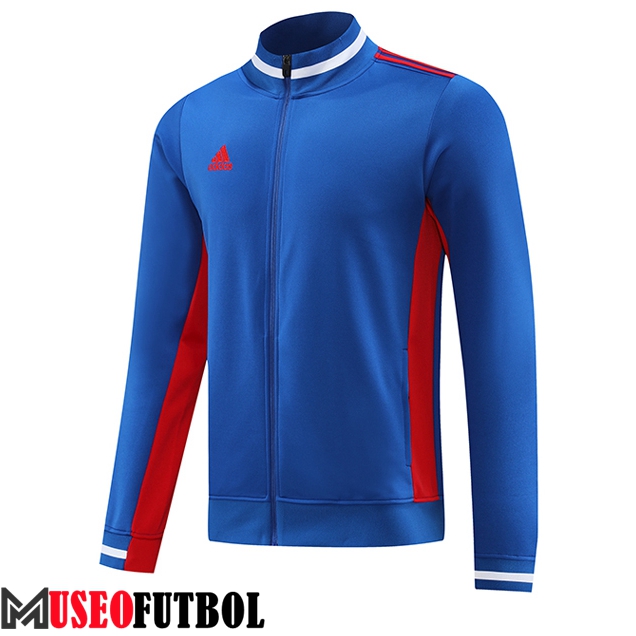 Chaquetas Futbol Adidas Azul 2023/2024