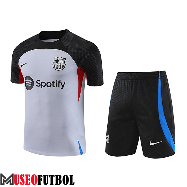 Camiseta Entrenamiento + Cortos FC Barcelona Gris 2023/2024