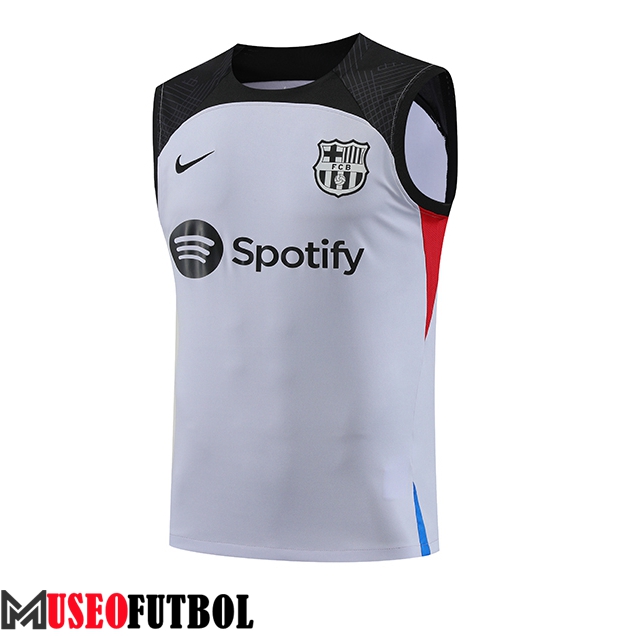 Chalecos De Futbol FC Barcelona Gris 2023/2024