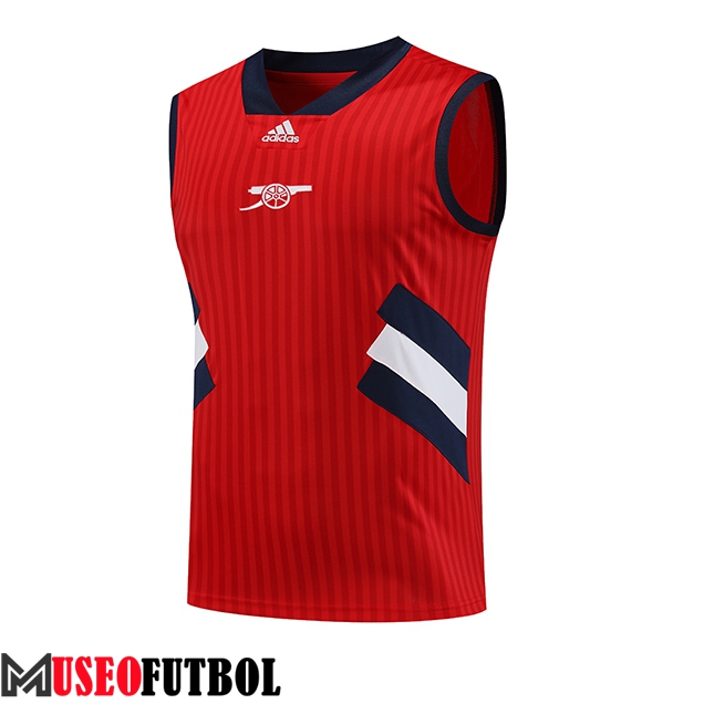 Chalecos De Futbol Arsenal Rojo 2023/2024