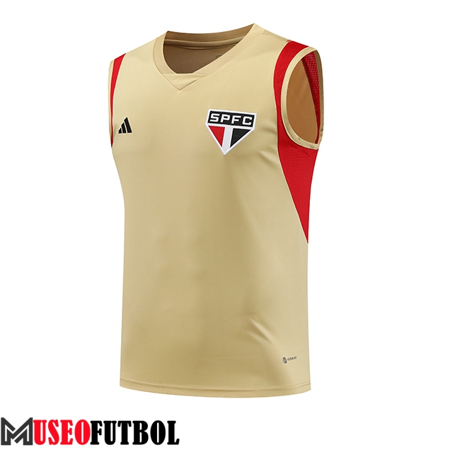 Chalecos De Futbol Sao Paulo FC Marrón 2023/2024