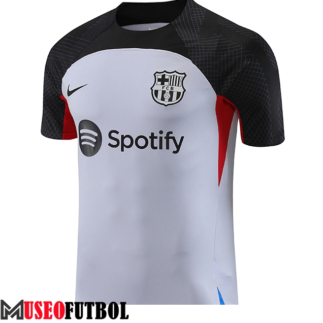 Camiseta Entrenamiento FC Barcelona Gris 2023/2024