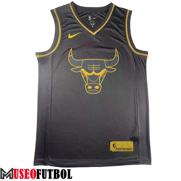 Camisetas Chicago Bulls (JAMES #23) 2023/24 Negro